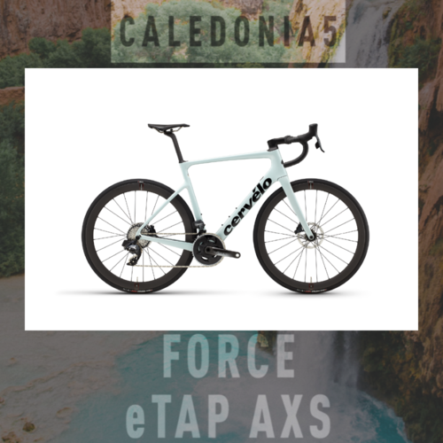 써벨로 칼레도니아5 포스 eTAP AXS 12단 카본 로드자전거 부산 울산 경남써벨로매장